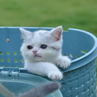 令狐沖當沖的沖