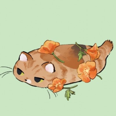 騎貢丸的喵喵怪